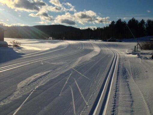 Ski Bowl Park, Winter